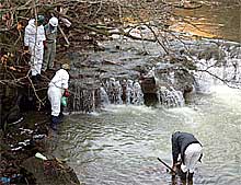宮田川で重油除去作業を行う日本鉱業関係者