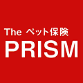 The ybgی PRISM