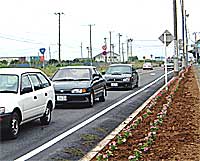 �����Q�S�T�����u���H���e���x�v�K�p���