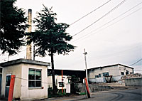 040304sirotori.jpg
