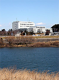050203tone.jpg
