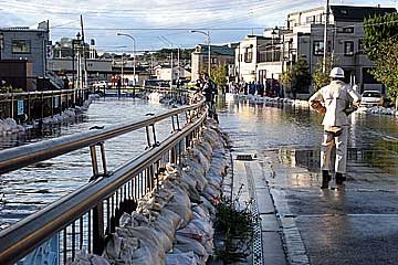 061007segami1.jpg