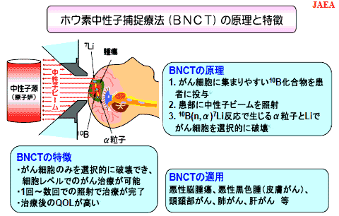 参考イラスト