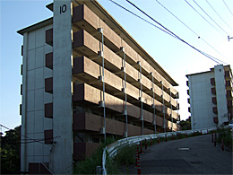 県営根道アパートの高層棟