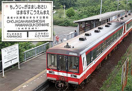 参考写真