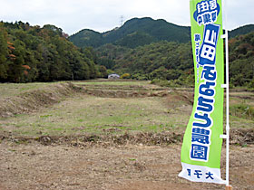 参考写真