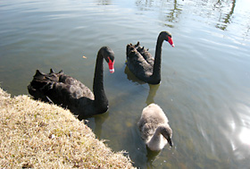080515senbako.jpg