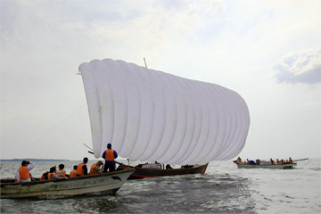 090504hobiki3.jpg