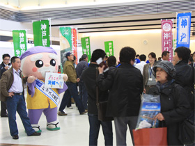 参考写真
