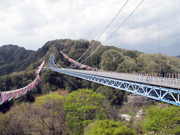 参考写真