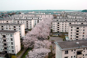 参考写真