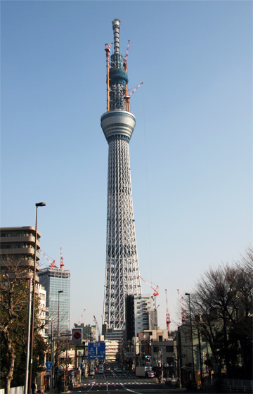 参考写真