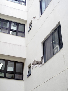 参考写真