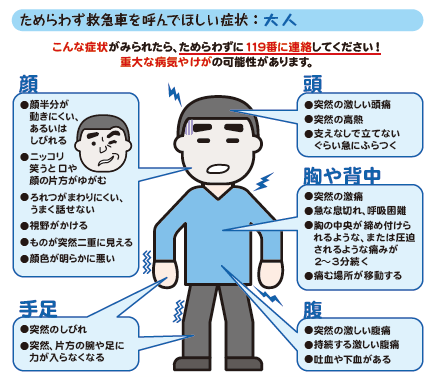 参考写真