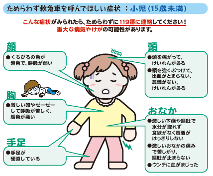 参考写真