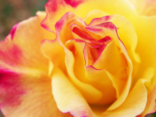 120106ph.jpg