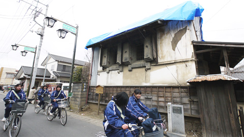 参考写真