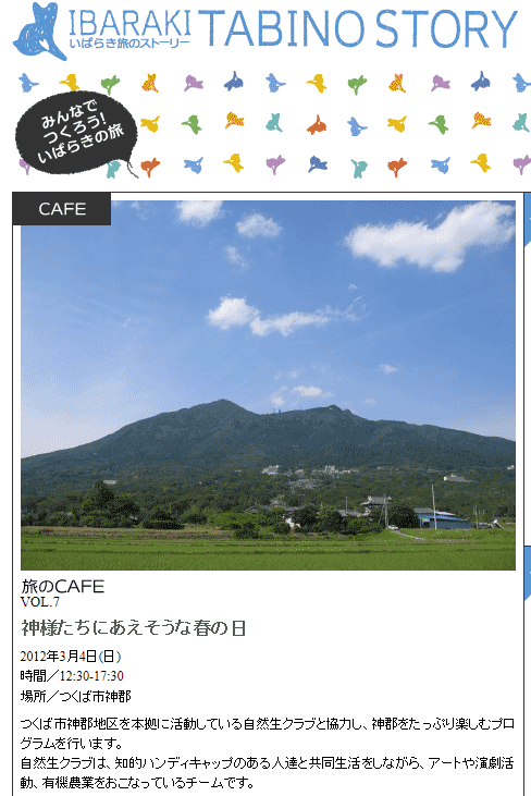参考写真