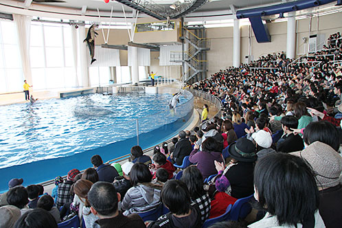 120402ooarai.jpg