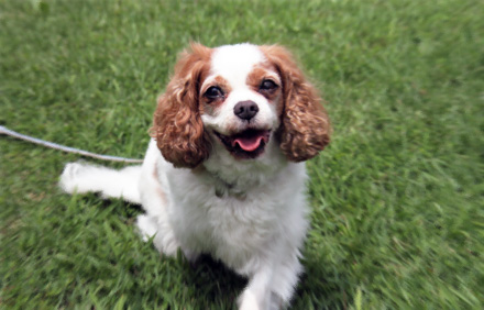 120805image.jpg