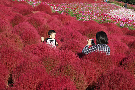 参考写真