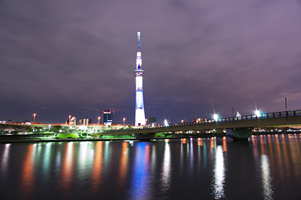 参考写真