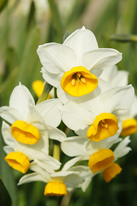 130202image.jpg