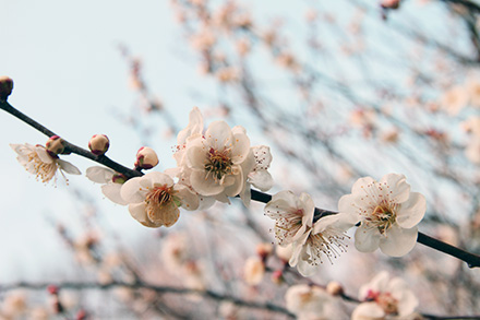 130305image.jpg