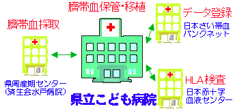 �`�ь��o���N��������