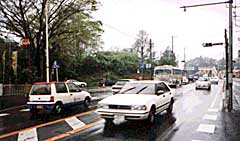 �����_�̎ʐ^