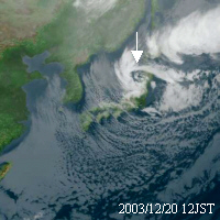 122012̐ԊO摜