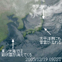 CۉqԊO摜F2005N121909