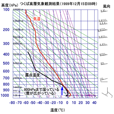 1999N121509̂΂ɂCfM}