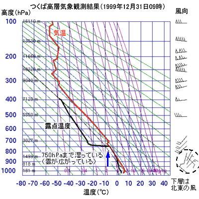 1999N123109̂΂ɂCfM}