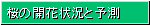 ̊Jԏ󋵂ƊJԗ\