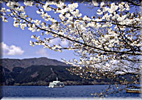 箱根・芦ノ湖と桜