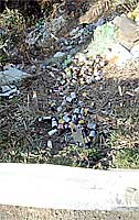 道路脇の崖に不法投棄された空き瓶や空き缶