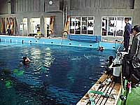 海洋高校の潜水プール